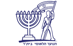 כללי
