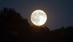 ט"ו באב לאור ירח – סיור לילי בעמק איילון